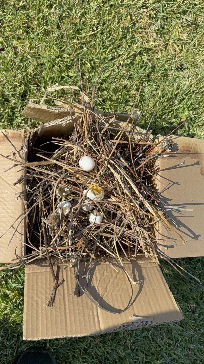 Exterior debris cleanup